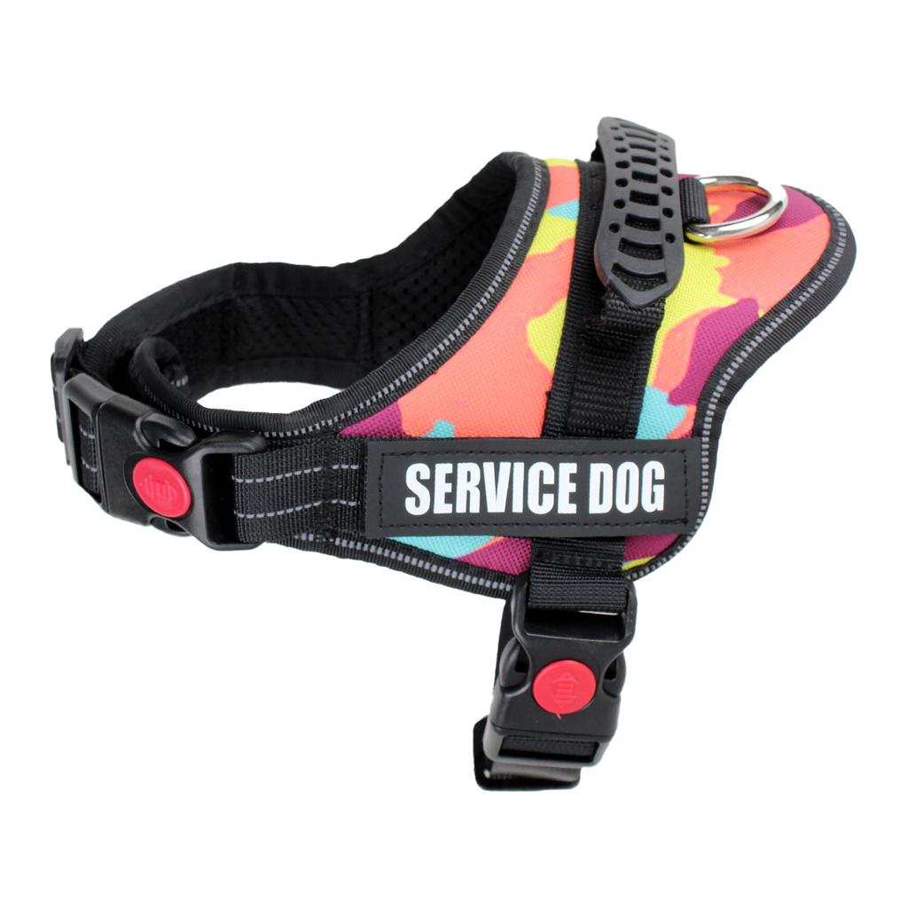 Süßes Haustiergeschirr Halsband für Welpen und Kätzchen Kleiner Hund Reflektierendes Westengeschirr Outdoor-Gehen Anti-Verlust Corgi Labrador Chihuahua