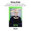 Stray Kids 2nd World Tour MANIAC in Seoul SKZ MERCH PRE-ORDER SPECIAL GIFT Official Photocard