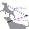 Dual Dog Leash - 360 Swivel No Tangle Walking Leash for Small Dogs - Double the Fun and Safety On Walks