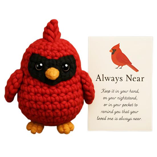

Yousheng Crochet Red Bird Emotional Support Ornament with Inspirational Card Pocket-Sized Hug Companion Positive Bird Gift for Women Loved Ones A