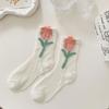 6Pairs Mesh Hollow Transparent Flower Socks Ruffle Sweet Socks Women Ins Style Mid Tube Socks  Girl
