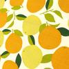 Hamamonyo Furoshiki Cloth (90cm) Citrus Leaf