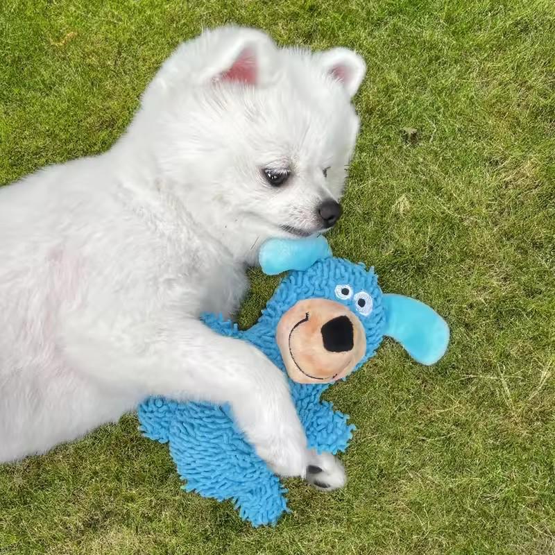 Plush Squeaky Dog Toy Teething Molar Chew Resistant Interactive Self Play Small Medium Puppy Dogs Anti Boredom Teeth Cleaning Pet Supplies