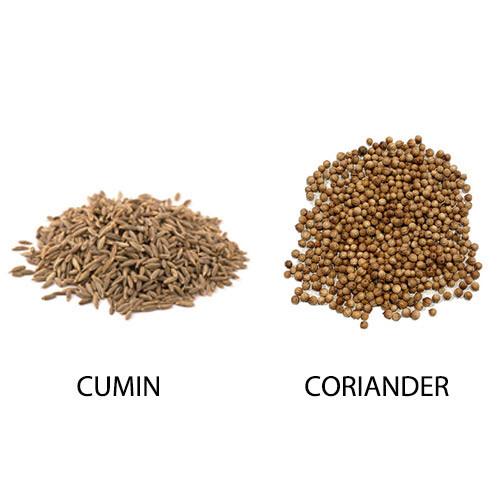 RSINC Coriander Cumin Powder (Dhania Jeera) Natural Freshly Coarse Grounded 200g JL186043900062