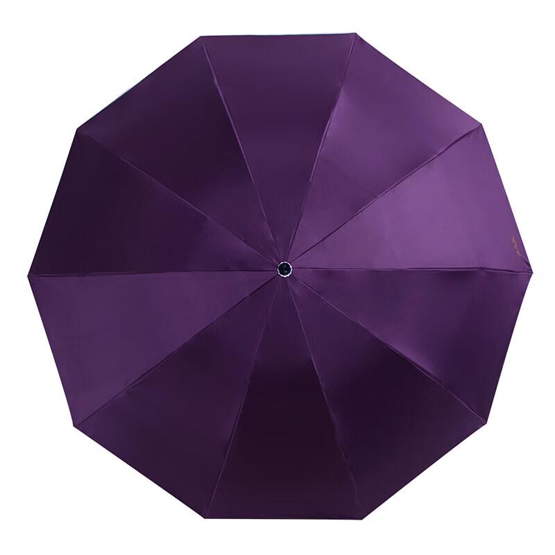 Paradise Unisex 10-Rib Folding Sun/Rain Umbrella