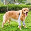 Dog Elbow Brace Thickened Soft Breathable Prevent Licking Wearable Dog Surgery Recovery Sleeve for Front Legs Purple