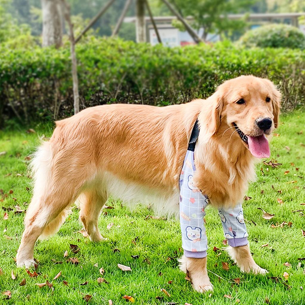 Dog Elbow Brace Thickened Soft Breathable Prevent Licking Wearable Dog Surgery Recovery Sleeve for Front Legs Purple
