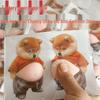 Hobby-uri și creativitate – Autocolante multifuncționale