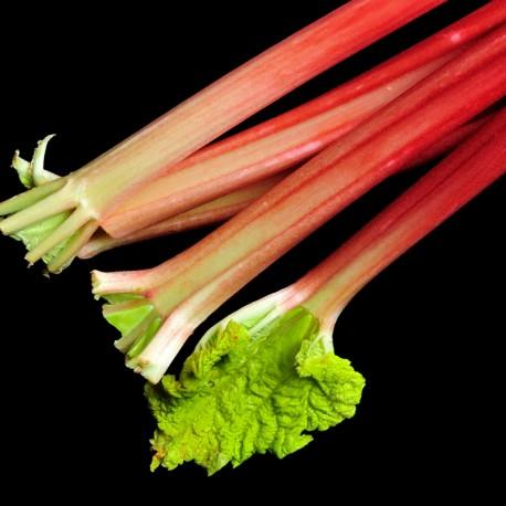 Apa de parfum Yodeyma Linet pentru femei 50 ml