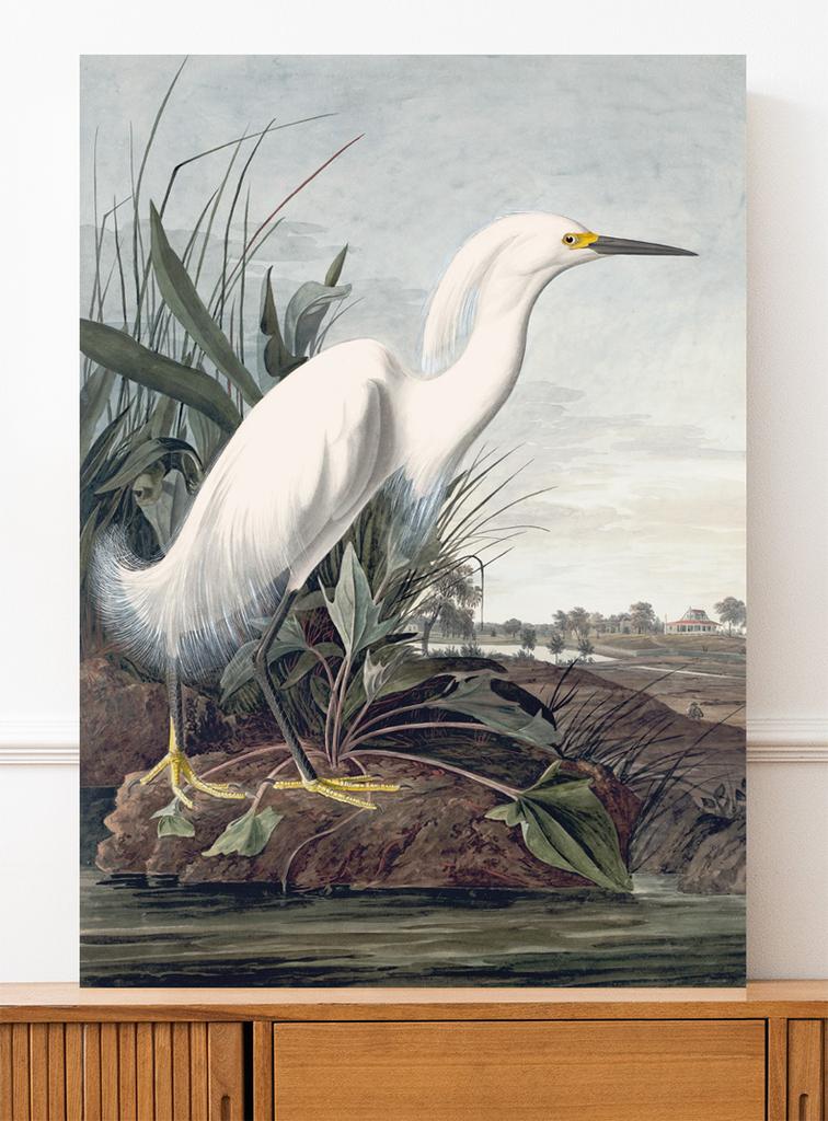 Canvas Painting White Bird Wetland Swamp