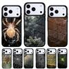 Spider Spider Web Phone Case for iPhone 17 Air 16e 15 14 13 Pro Max Back Cover for 12 11 Pro Coque
