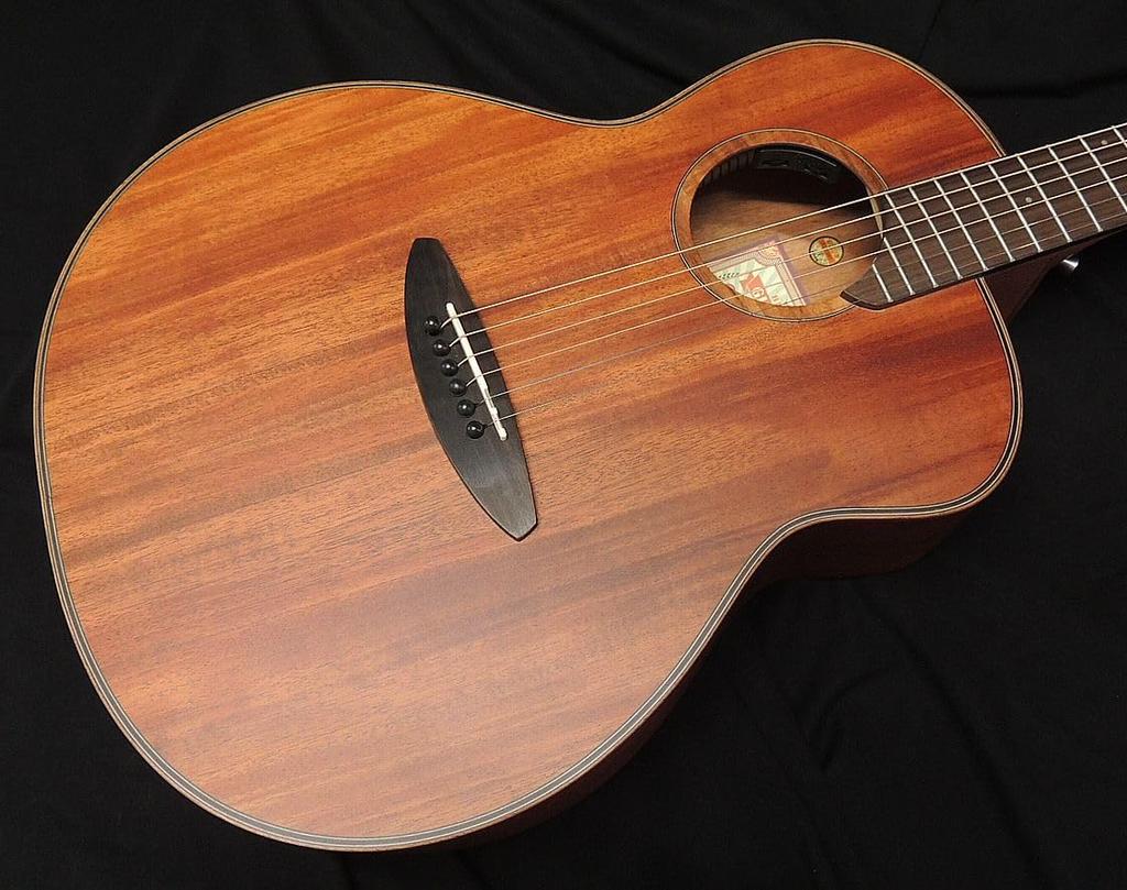 aNueNue Bird Guitar Solid Mahogany Top Mahogany single board top aNueNue acoustic guitar electric acoustic aNN-L20E