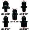 2X Flare Male AN4 AN6 AN8 AN10 AN12 To 1/4NPT 1/8NPT 3/8NPT 3/4 NPT Thread Straight Fittings Fuel Oil Cooler Hose Pipe Adapter