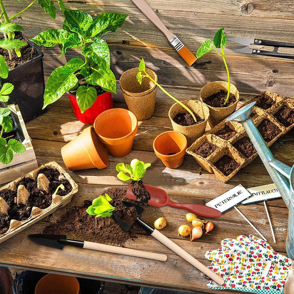 13 Pieces Plant Gardening Tool Set Transplanting Outdoor Bonsai Gardening Tools Succulent Micro Planting Tools