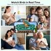 Mangeoire à oiseaux intelligente avec caméra, alimentée par énergie solaire, vidéo HD 2,5k, capture automatique et identification par IA, notifications en temps réel, cadeau pour père,