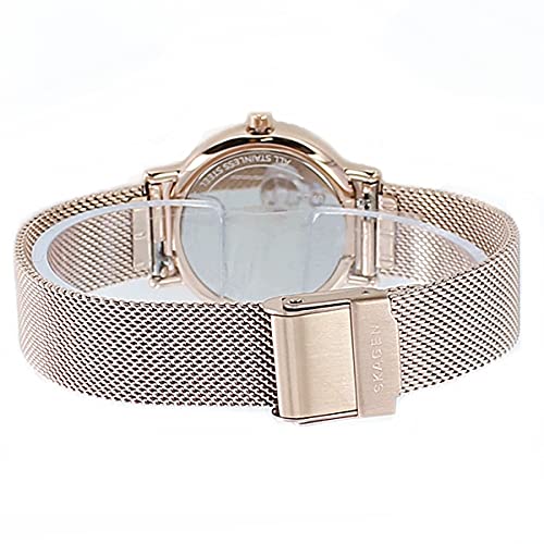 SKAGEN Women's Signatur Blue Pink Gold Mesh Stainless Steel Watch SKW2837 [Parallel Import]