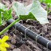 Constructions de jardin – Clôtures, espaliers et portails
