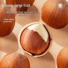Three Squirrels Original Hazelnuts