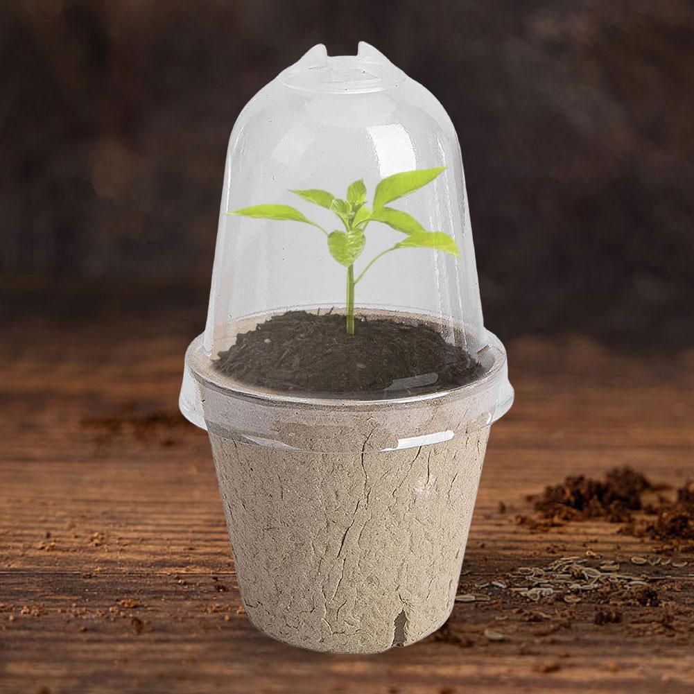 10Pcs Seedling Cup Seed Starter Transparent Lid Cultivation Pot Biodegradable Plant Growing Cup Versatile Gardening Supplies