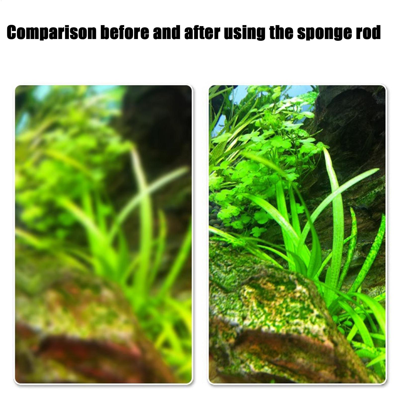 Fish Tank Cleaner Brush Telescopic Fish Tank Glass Scrubber With Replacement Heads Aquarium Cleaning Tools For Men Women Husband China Mainland