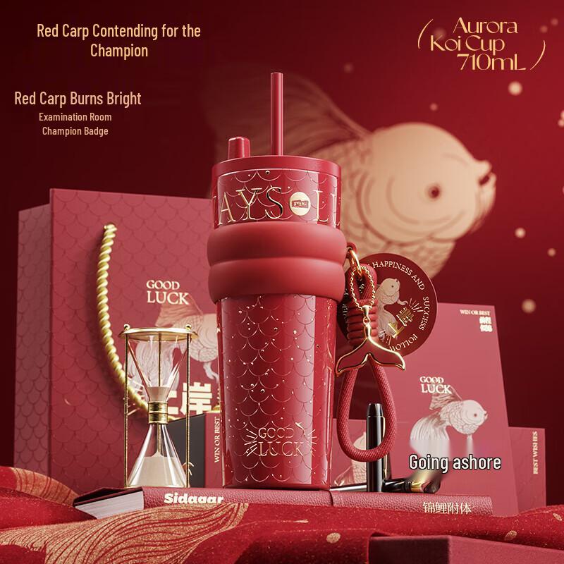 Shidajia Aurora Starry Night 710ml Insulated Straw Tumbler