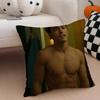 PPaxton HallYoshida Cushion Cover Throw Pillow Cover Hidden Button Durable Polyester Chair Cushion