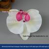 Champagne Silk Imitation Flowers for Hairpins, Hanfu Headdresses, Souvenirs, and Performance Accessories.