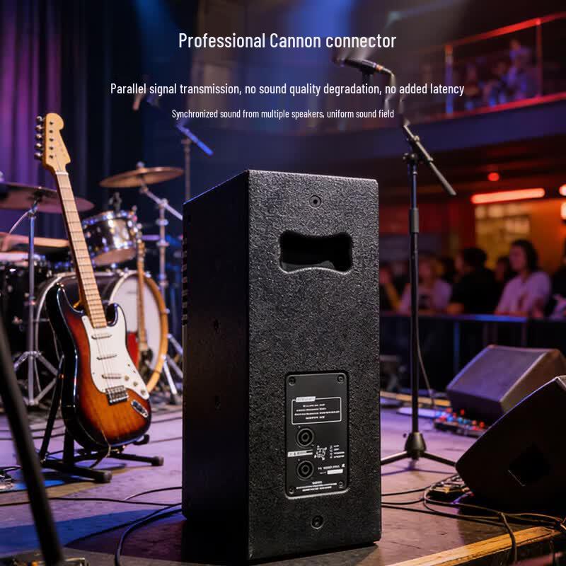 Weishu YD10 10-inch Professional Passive Speaker (CN version)