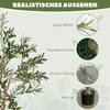 Silk Leaf Artificial Olive Trees