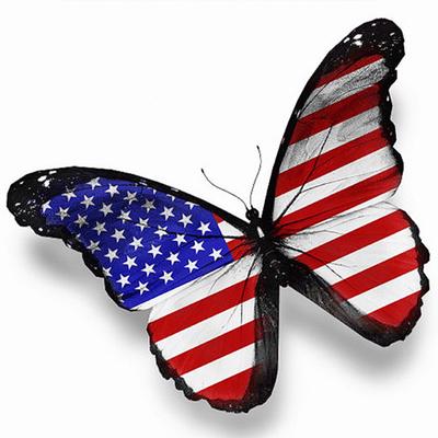Full 5D Diy Diamond Painting Butterfly Flag Diamond Embroidery Full Lay Cross Stitch Home Decor Handmade Gift