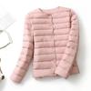 Women's Down Jackets Plus Coats Light Duck Down Jacket Women Matt Fabric Lightweight Coat Warm Female Windbreaker Parka