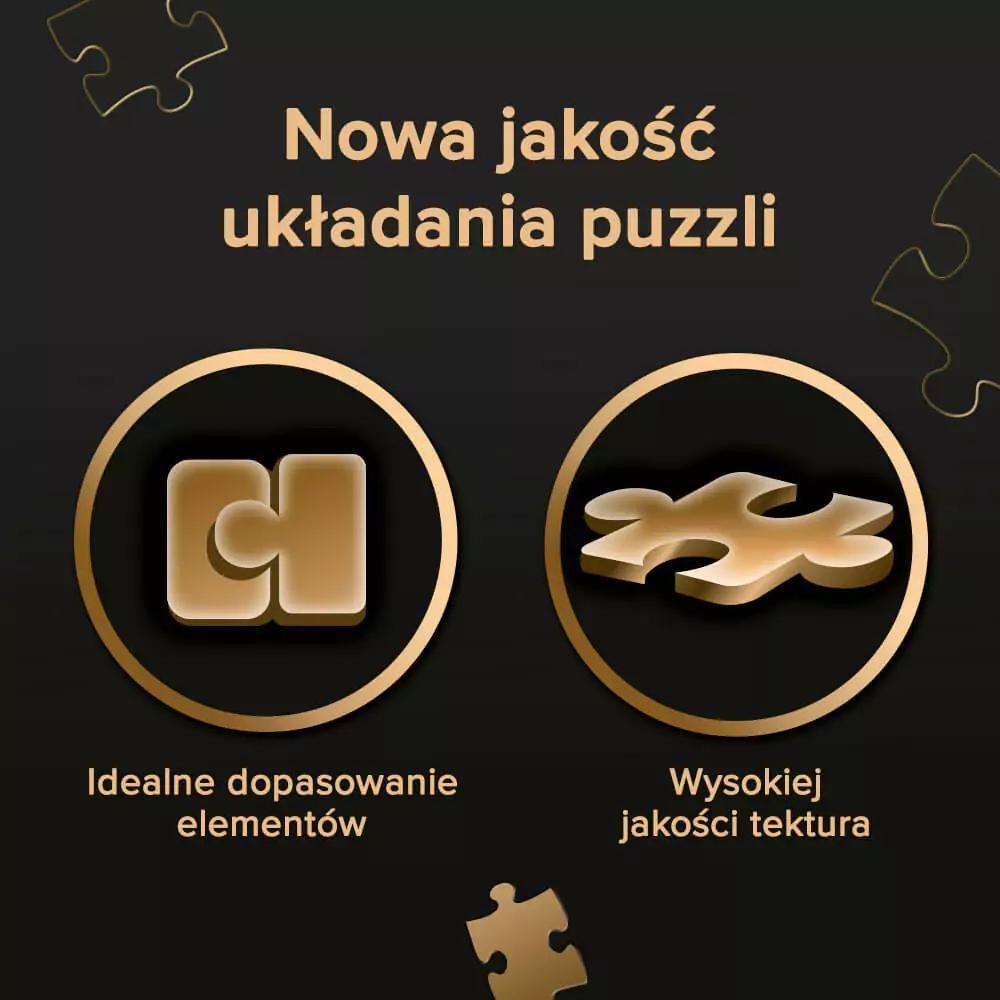 Puzzle 1000 Premium Targ Kwiatowy Paryż 10799
