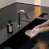 HAND WASH (choose 1 of 3 Types)