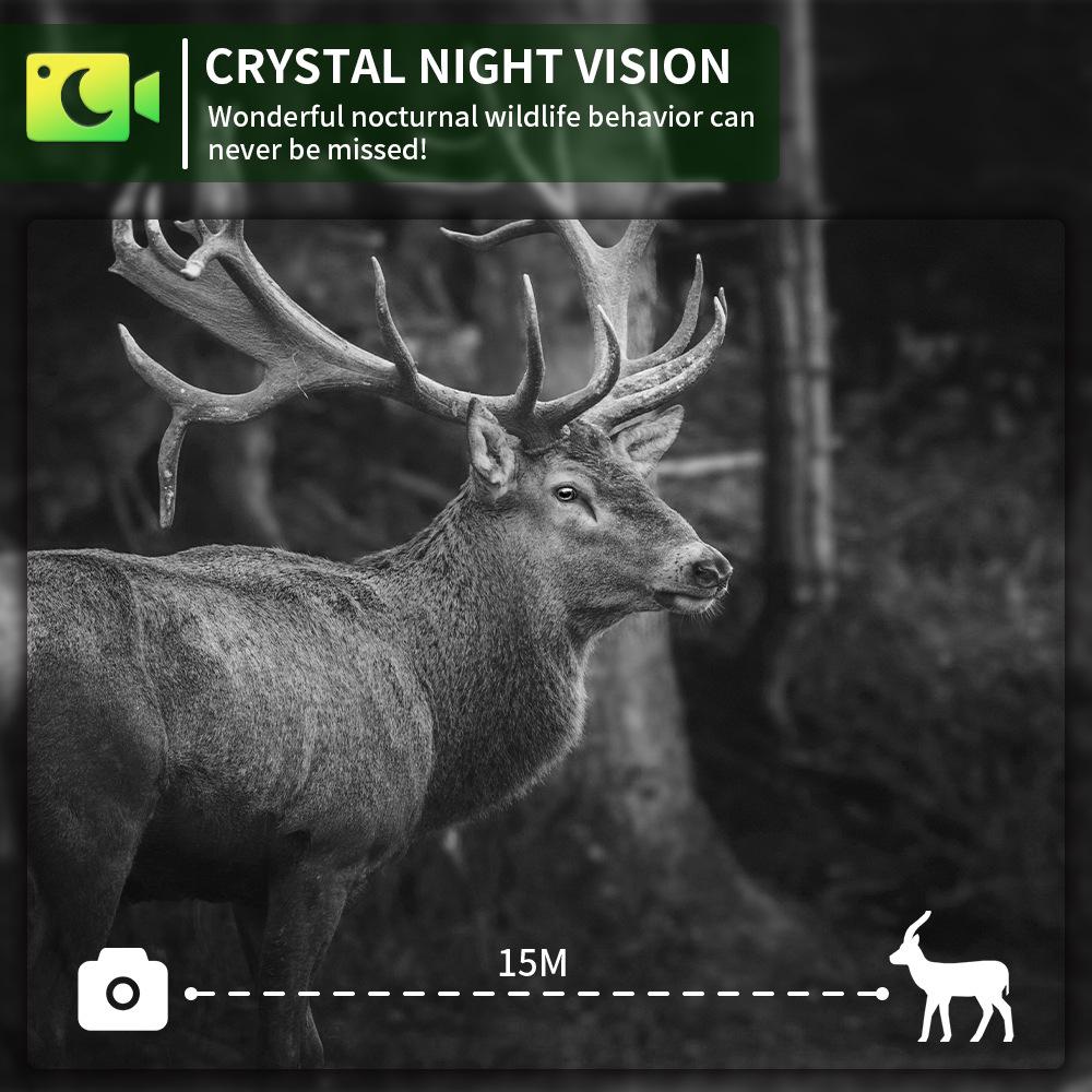 New 4G 4K 60MP Infrared Wildlife Camera with Night Vision - Model PR802LTE