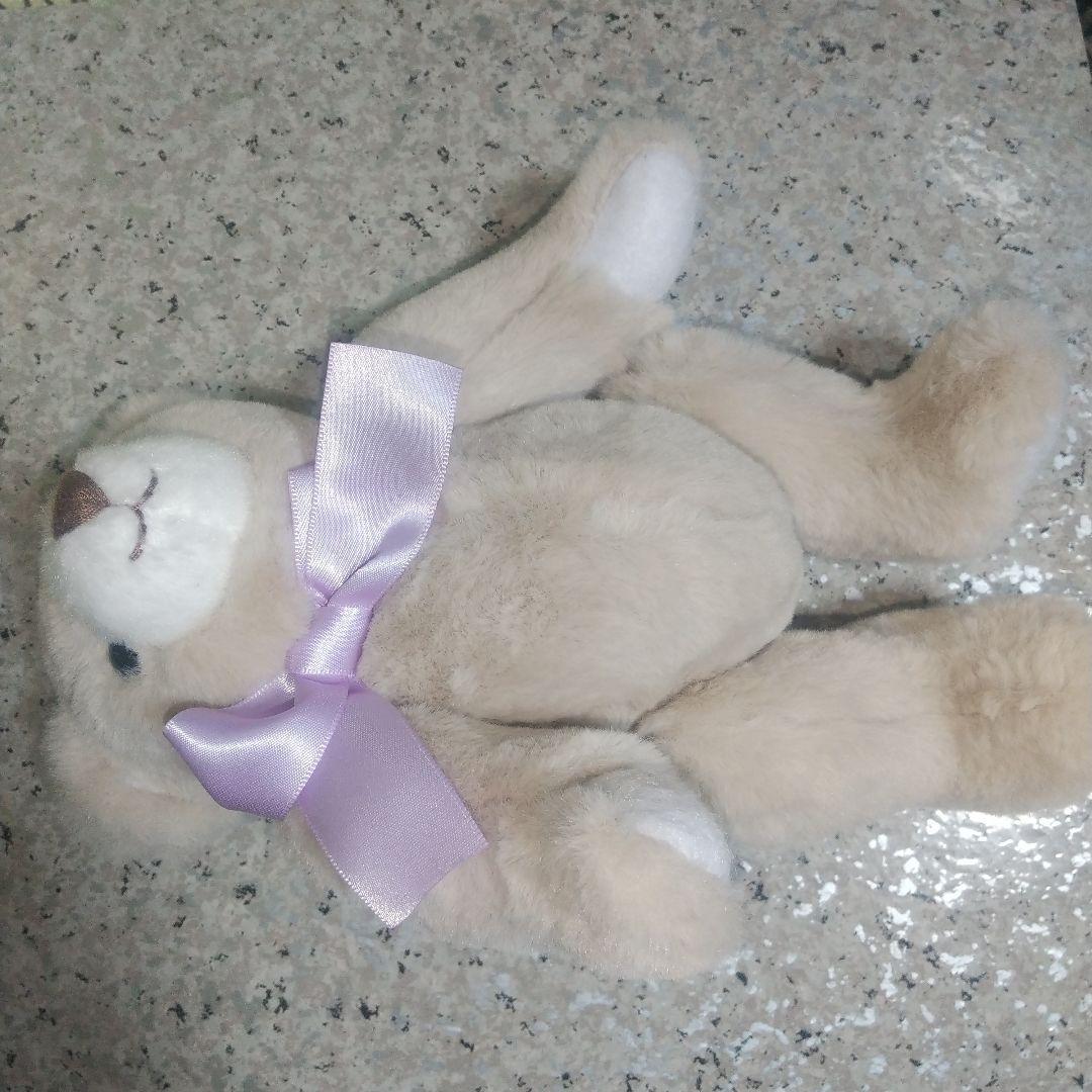 Canal4 Music Box Bear