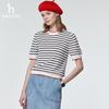 HAZZYS Women's Striped Color-Block Short Sleeve Knit Top