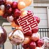 Wedding Balloon Arch Stand for Outdoor Aisle or Doorway Decoration