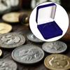 Samt Münzpräsentationsbox Abzeichen-Display Münzhalter-Etui Für Souvenir-Sammlung