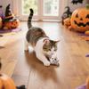 Halloween Cat Toys, Catnip Plush Toys, Soft And Cat Toys, Perfect For Indoor Play And Exercise