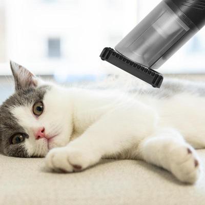 Chats – Produits de toilettage pour chat