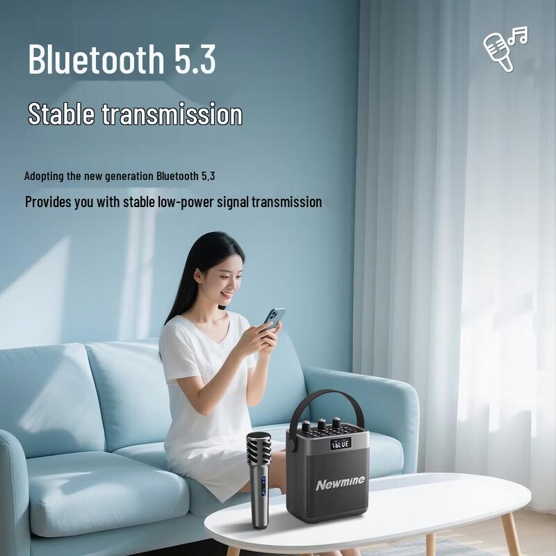Newmine K519 Portable Bluetooth Karaoke Speaker CN plug (adapter included)