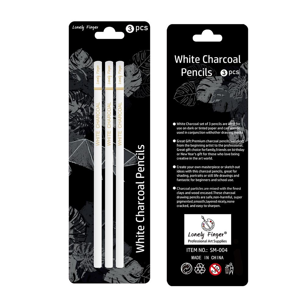 Professionele Witte Houtskoolpotloden Set - 3/6 Stuks Schets Highlight Witte Potloden voor Tekenen, Schetsen, Arceren, Mengen