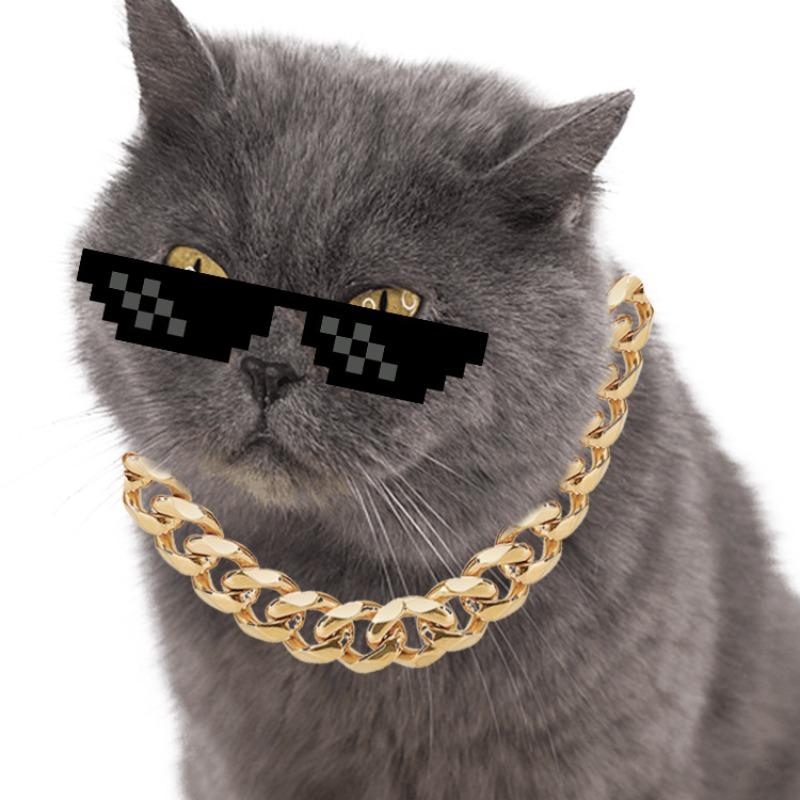 Accessories: Bulldog Bully Gold Chain, Small and Medium-sized Dog Collar, Pet Necklace, and Other Accessories