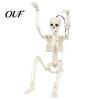 Small Horror Scene Accessories Realistic Halloween Skeleton Figure, 40cm Posable Joints Hanging Skull Decoration, Plastic for Home Decor Mini