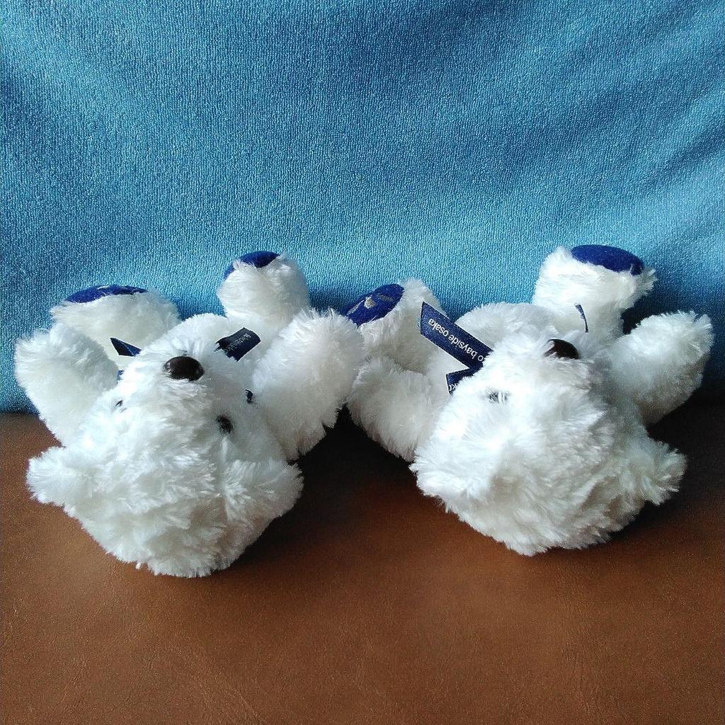 [USED] Mini Teddy Bear (Pair/Twins) Stuffed Bears