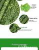 Artificial Leaf Hedge Privacy Screen for Balcony & Home Decor