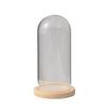 Everlasting Flower Glass Dome with Dust Cover for Displaying Figurine Ornaments