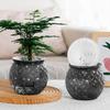 Yousheng Self Watering Flowerpot with Transparent Bottle And Water Level View Self-Absorbing Cotton Rope Planter Double-Layer Flower Pot for Indoor
