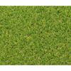 Exelgreen Campus 2D Artificial Grass 1 X 5 M 25 Mm