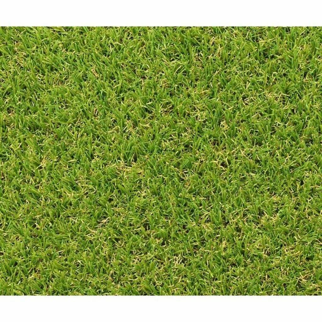 Exelgreen Campus 2D Artificial Grass 1 X 5 M 25 Mm